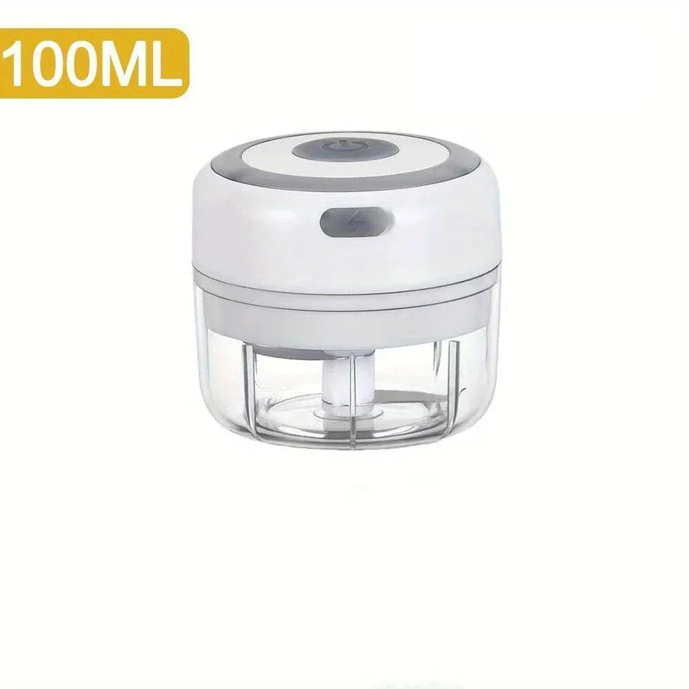 Mini Electric Garlic & Food Chopper 250ML