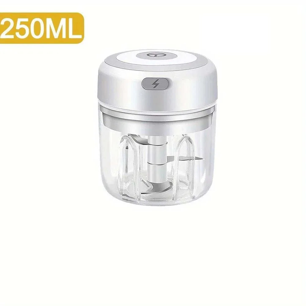 Mini Electric Garlic & Food Chopper 250ML