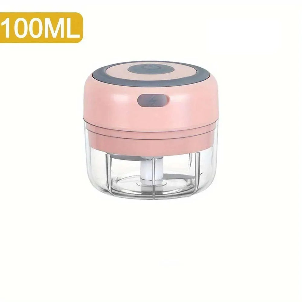 Mini Electric Garlic & Food Chopper 250ML